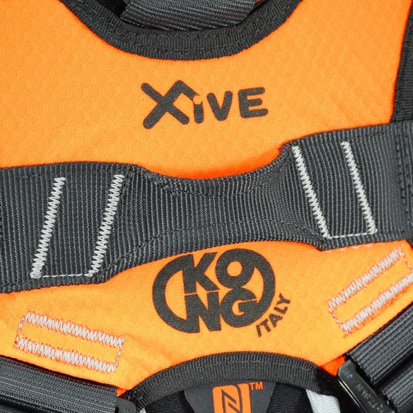X-FIVE