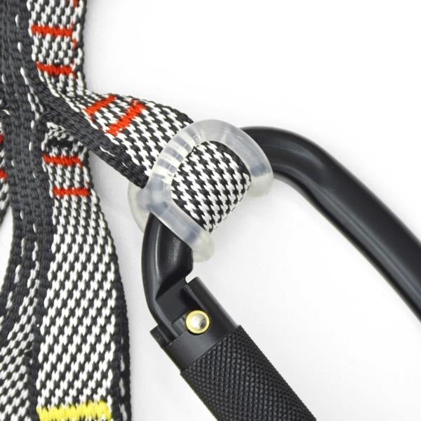 CIAPIN EVOLUTION FAST