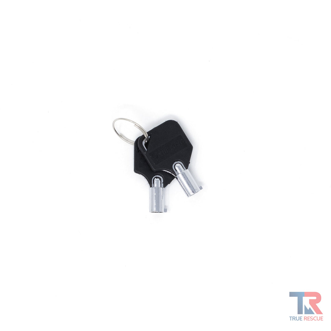 Spare Keys for Alarmed Cabinets